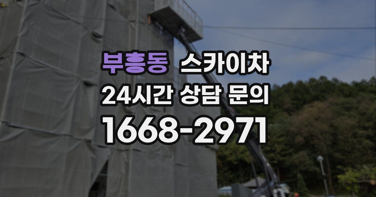 부흥동 스카이차