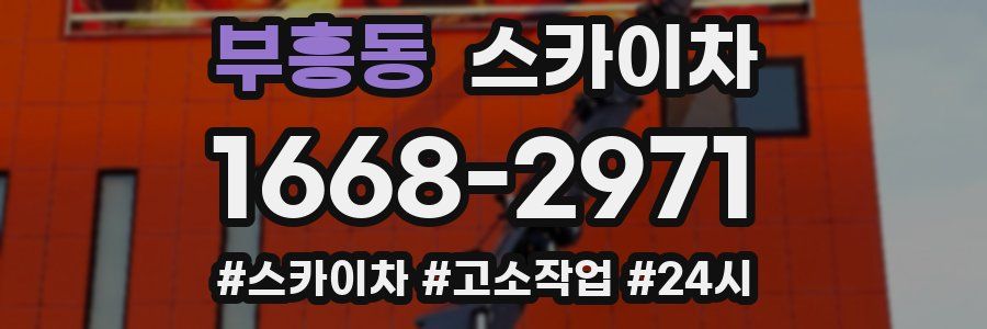 부흥동 스카이차