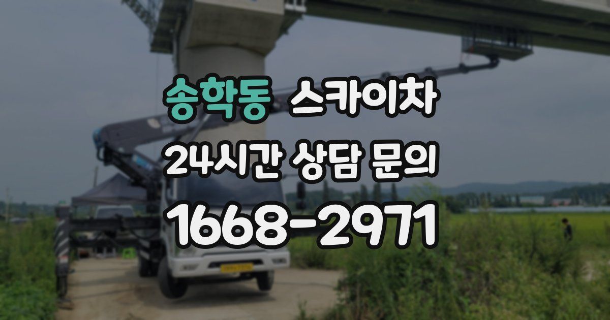 송학동 스카이차