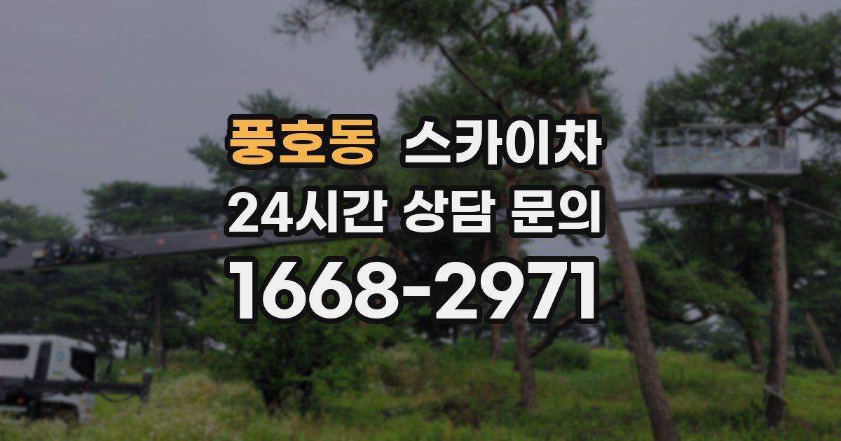 풍호동 스카이차