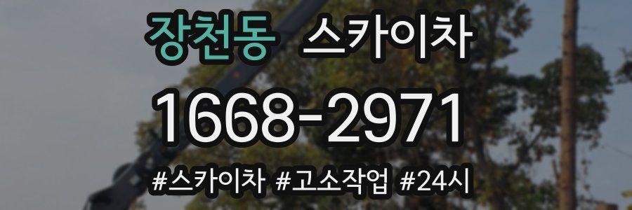 장천동 스카이차