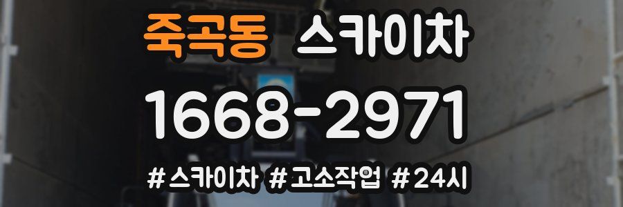 죽곡동 스카이차