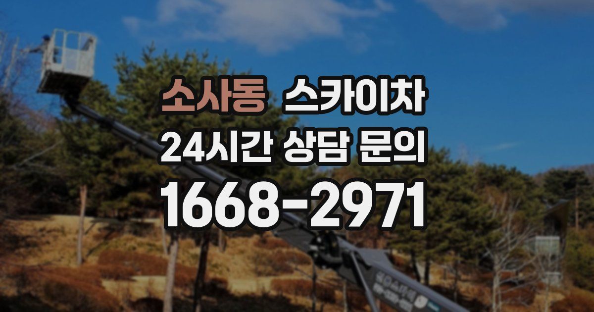 소사동 스카이차