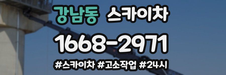 강남동 스카이차