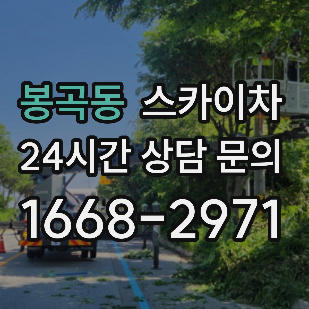 봉곡동 스카이차