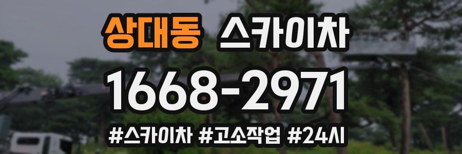 상대동 스카이차