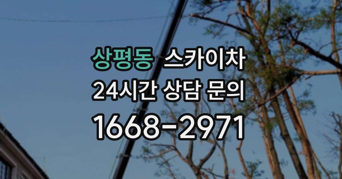 상평동 스카이차