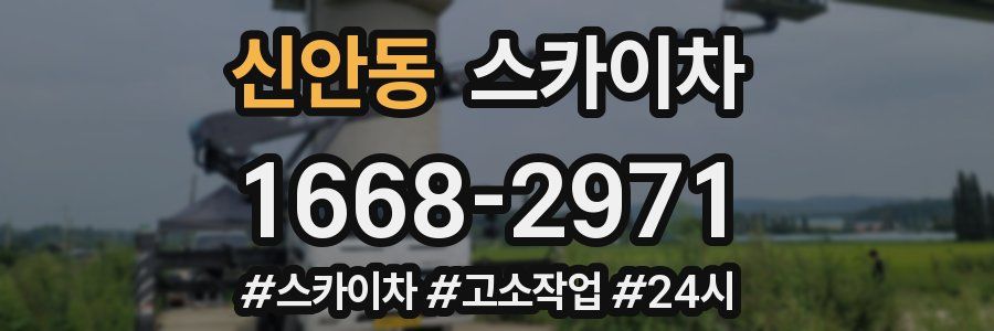 신안동 스카이차