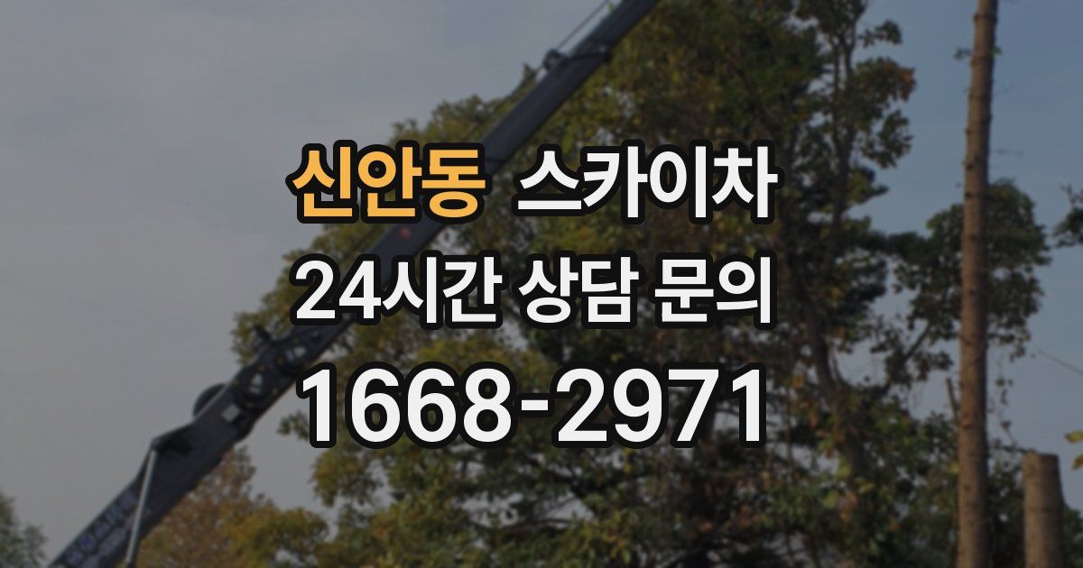 신안동 스카이차