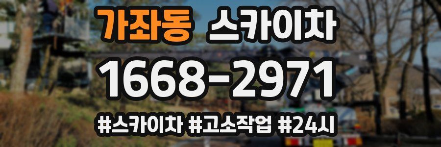 가좌동 스카이차