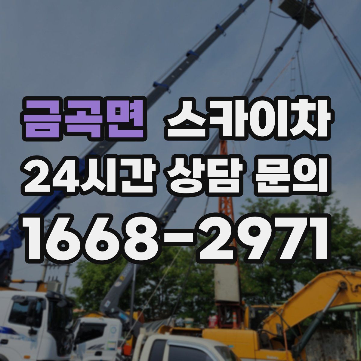 금곡면 스카이차