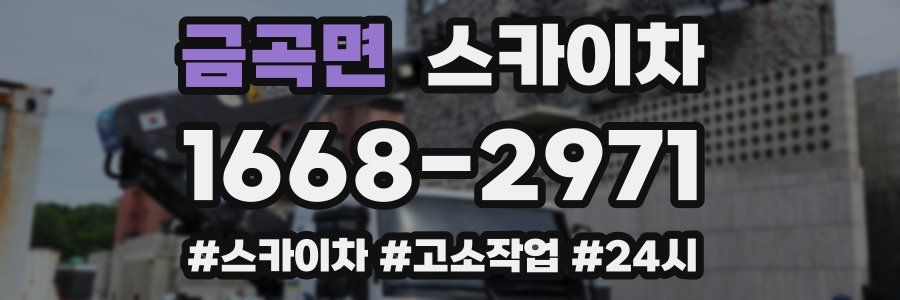 금곡면 스카이차