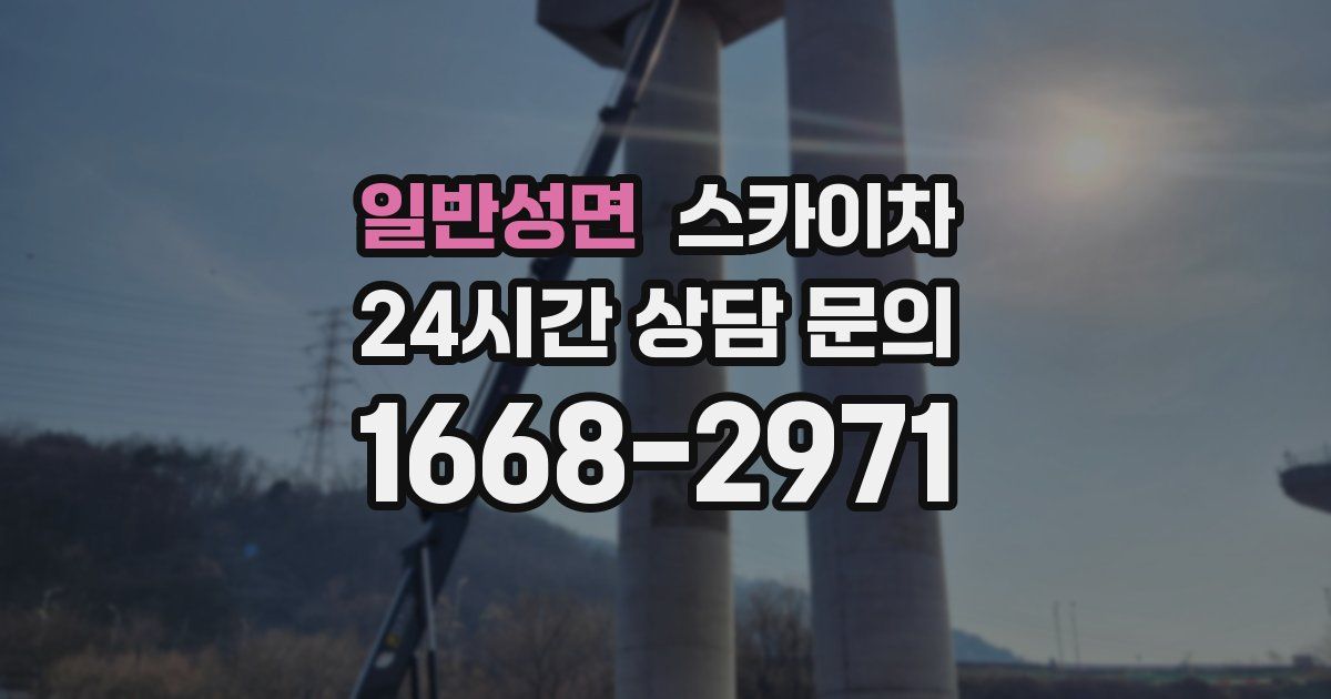 일반성면 스카이차