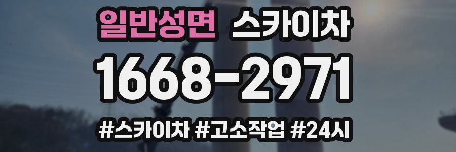 일반성면 스카이차