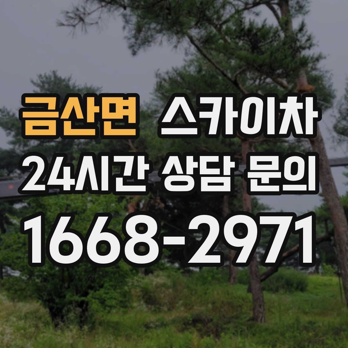 금산면 스카이차