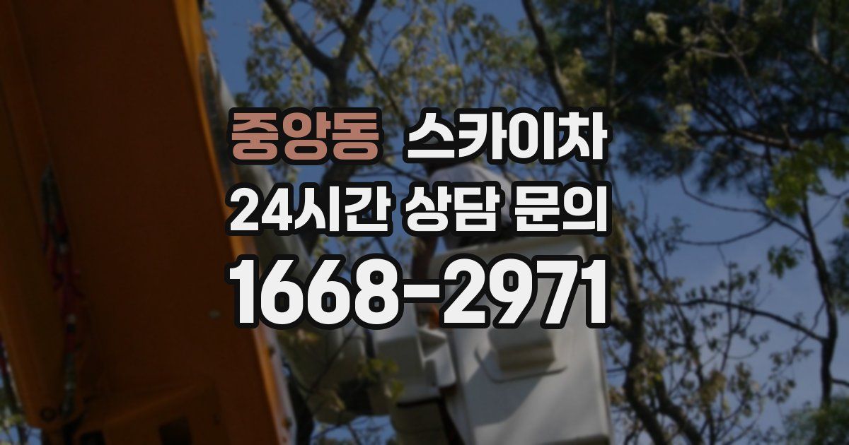 중앙동 스카이차