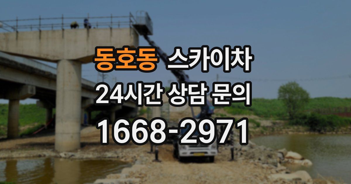 동호동 스카이차