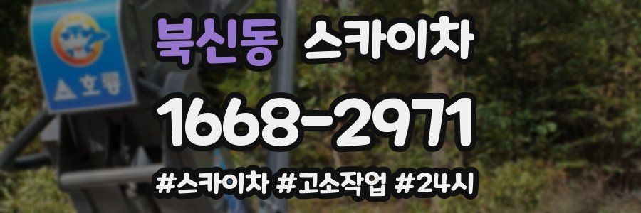 북신동 스카이차