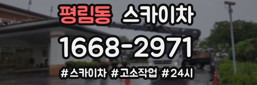 평림동 스카이차