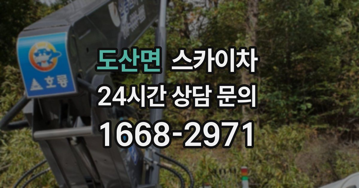 도산면 스카이차