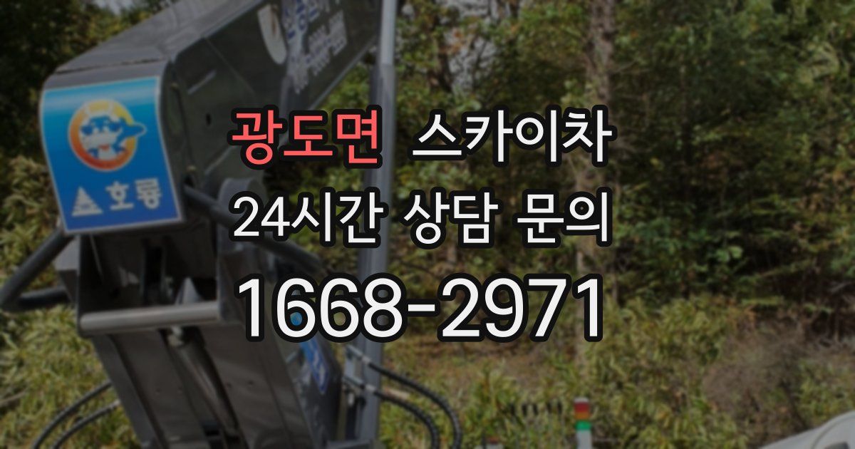 광도면 스카이차