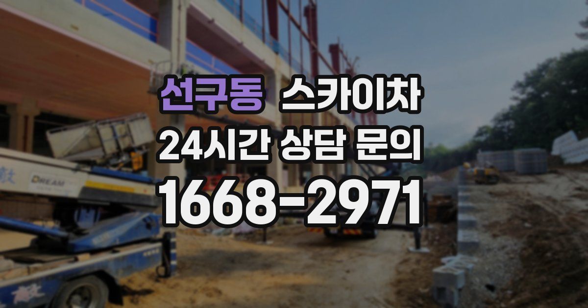 선구동 스카이차