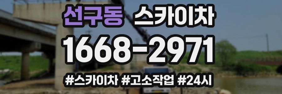 선구동 스카이차