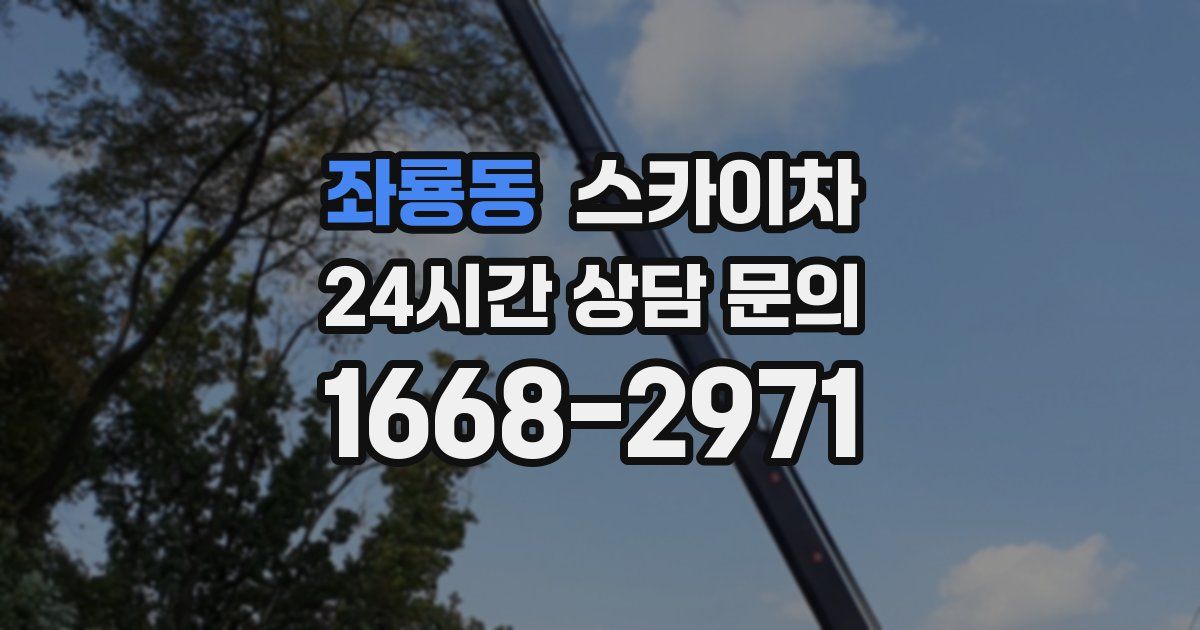 좌룡동 스카이차