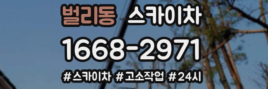 벌리동 스카이차