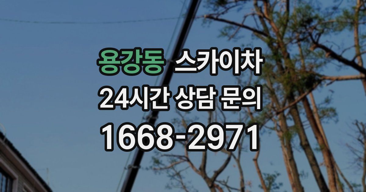 용강동 스카이차