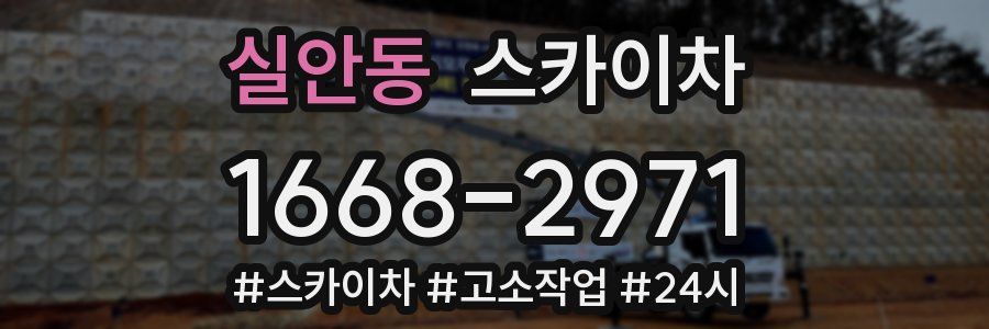 실안동 스카이차