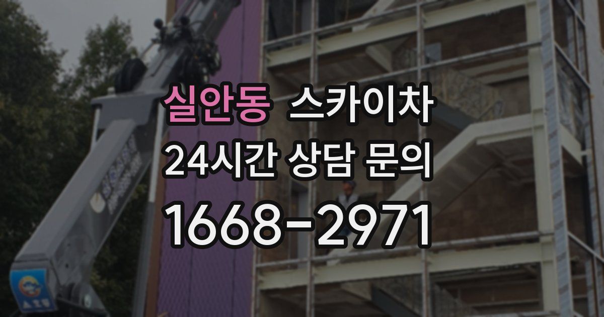 실안동 스카이차