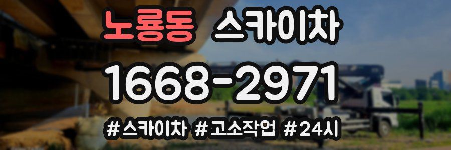 노룡동 스카이차