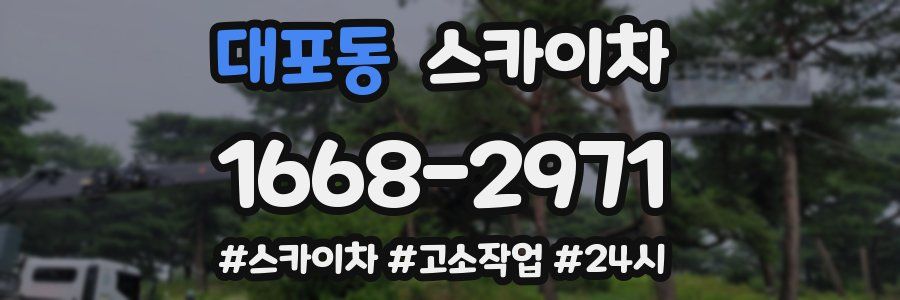 대포동 스카이차