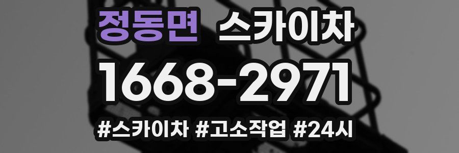 정동면 스카이차