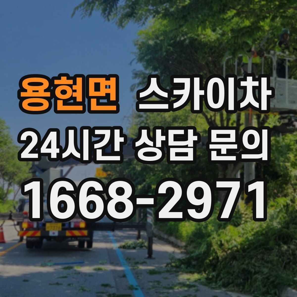 용현면 스카이차 간판 교체 일정이 촉박할 때 대처