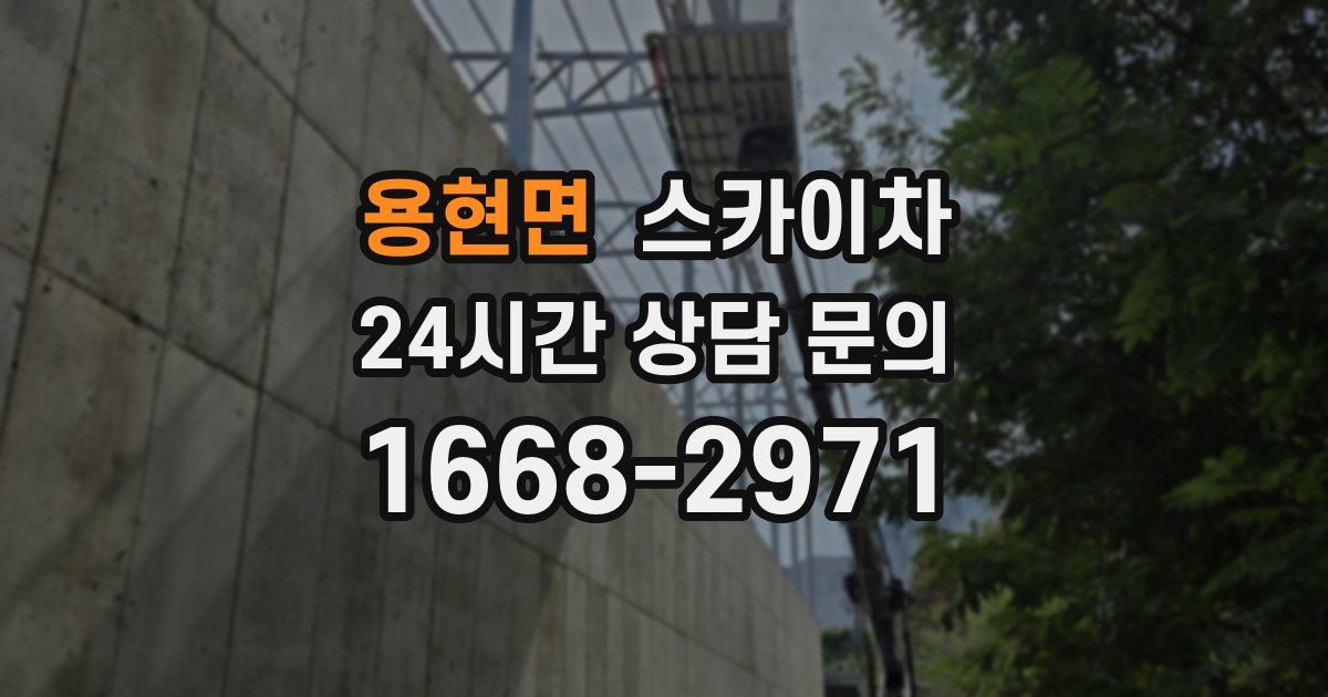 용현면 스카이차