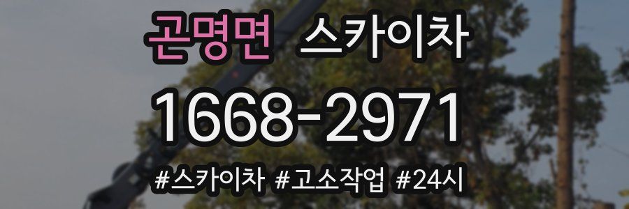 곤명면 스카이차