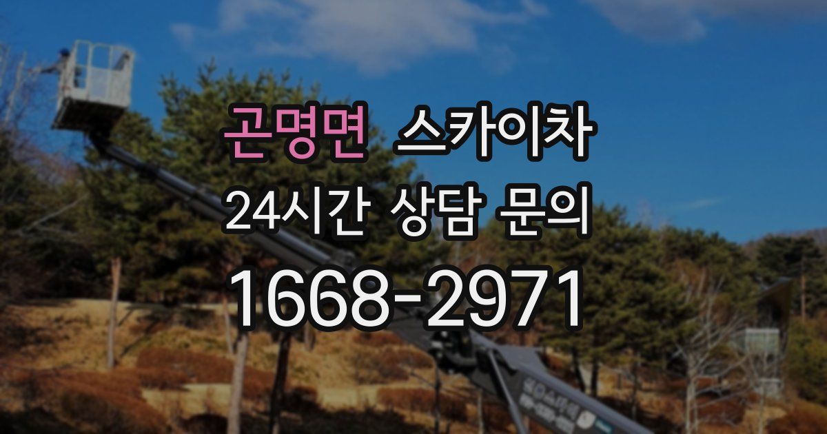 곤명면 스카이차