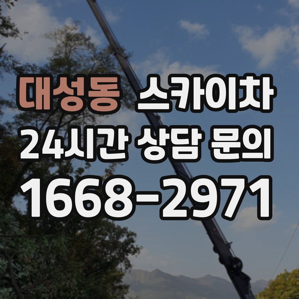 대성동 스카이차 겨울철 간판 조명 점검으로 안전 확보