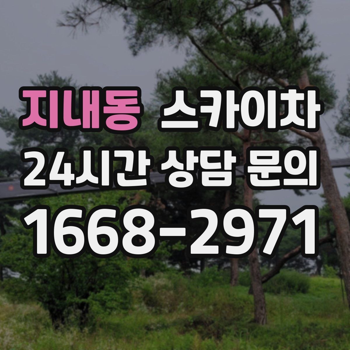 지내동 스카이차