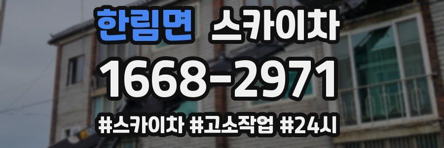 한림면 스카이차