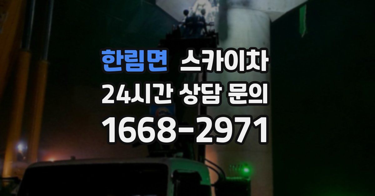 한림면 스카이차