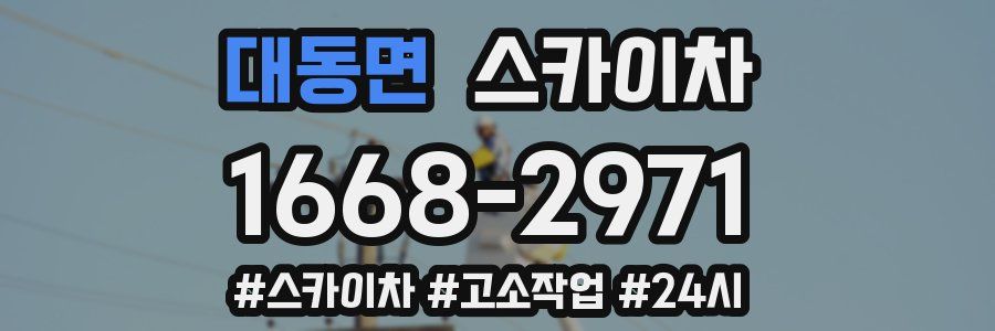 대동면 스카이차