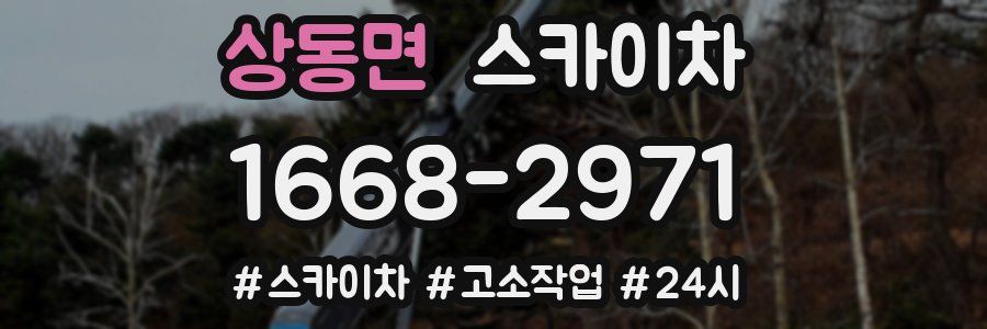 상동면 스카이차