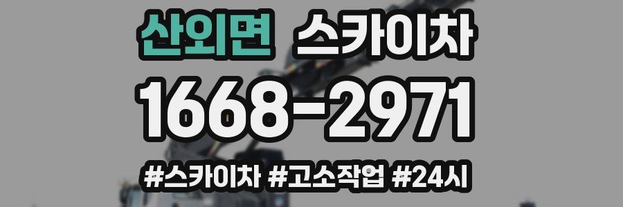 산외면 스카이차