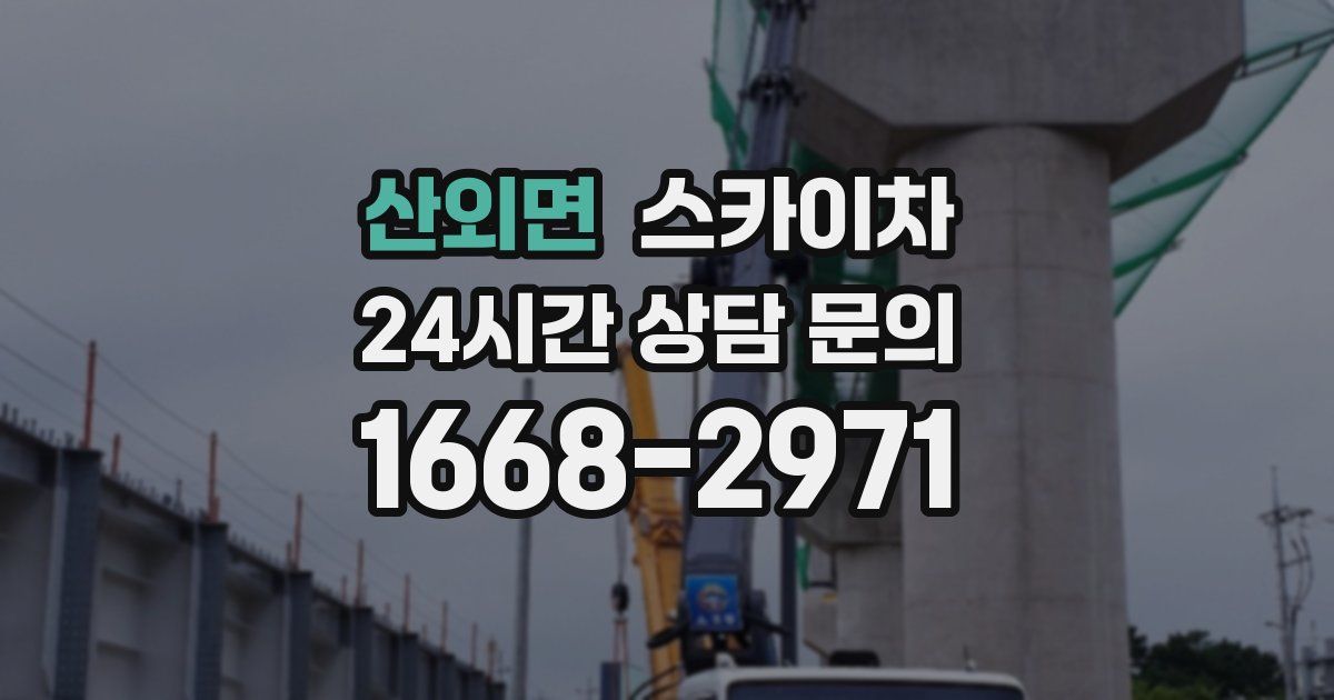 산외면 스카이차