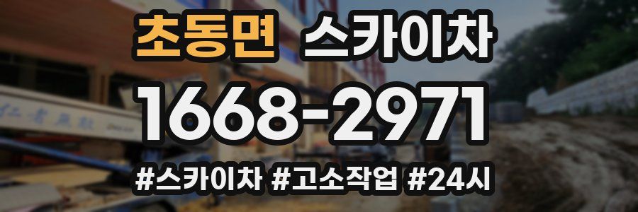 초동면 스카이차