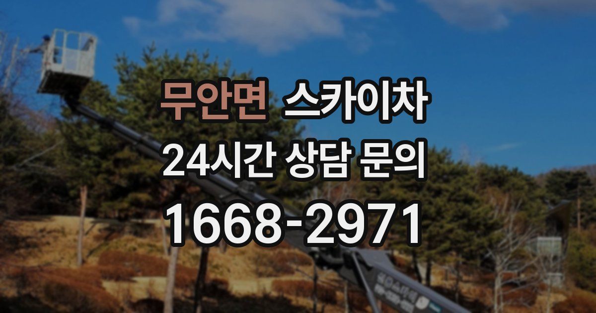 무안면 스카이차