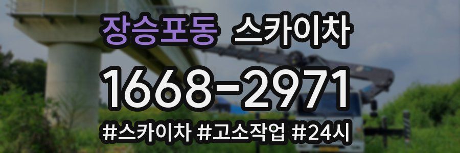 장승포동 스카이차